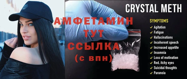 хмурый Верея