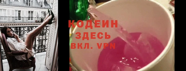 хмурый Верея