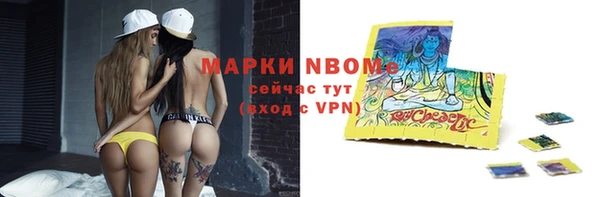 PSILOCYBIN Бородино