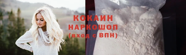 шишки Верхний Тагил