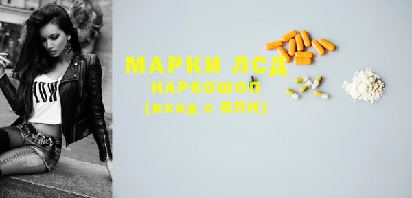 хмурый Верея