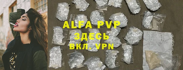 хмурый Верея