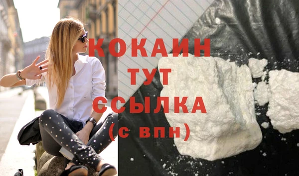 хмурый Верея