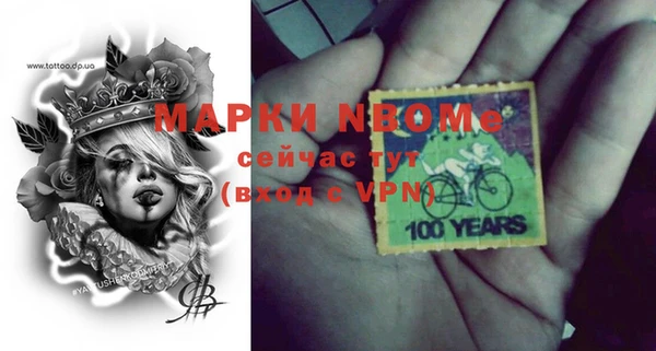 шишки Верхний Тагил