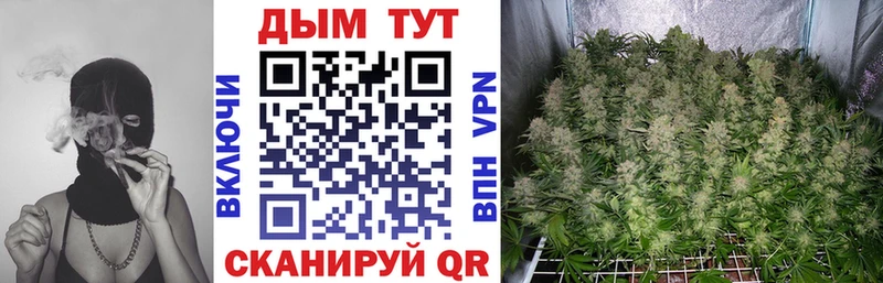 закладки  Верхняя Тура  МАРИХУАНА план 